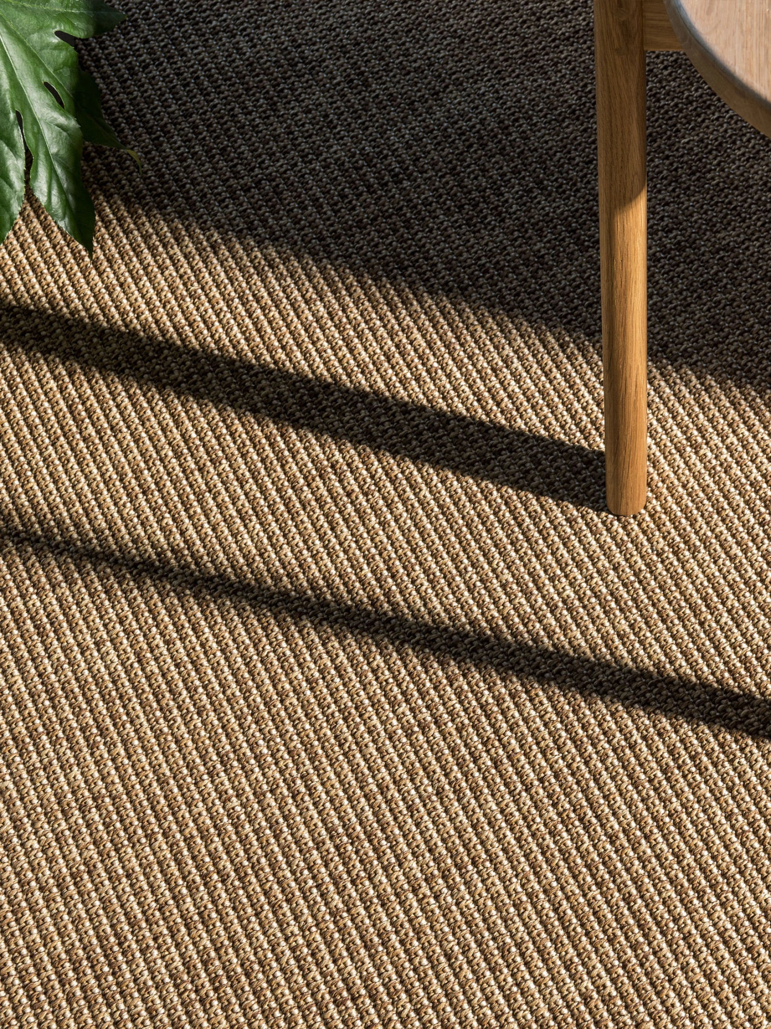 Schlingen-Teppichboden, Kork 26 4 Schlingen-Teppichboden, Kork 26 – Bild 2