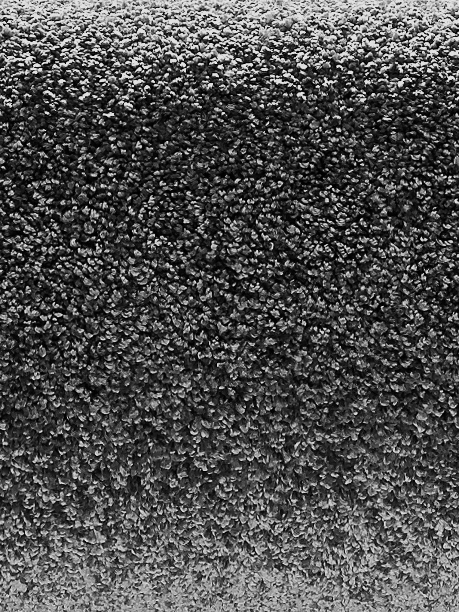 Velours-Teppichboden, Anthrazit 5 Velours-Teppichboden, Anthrazit – Bild 3