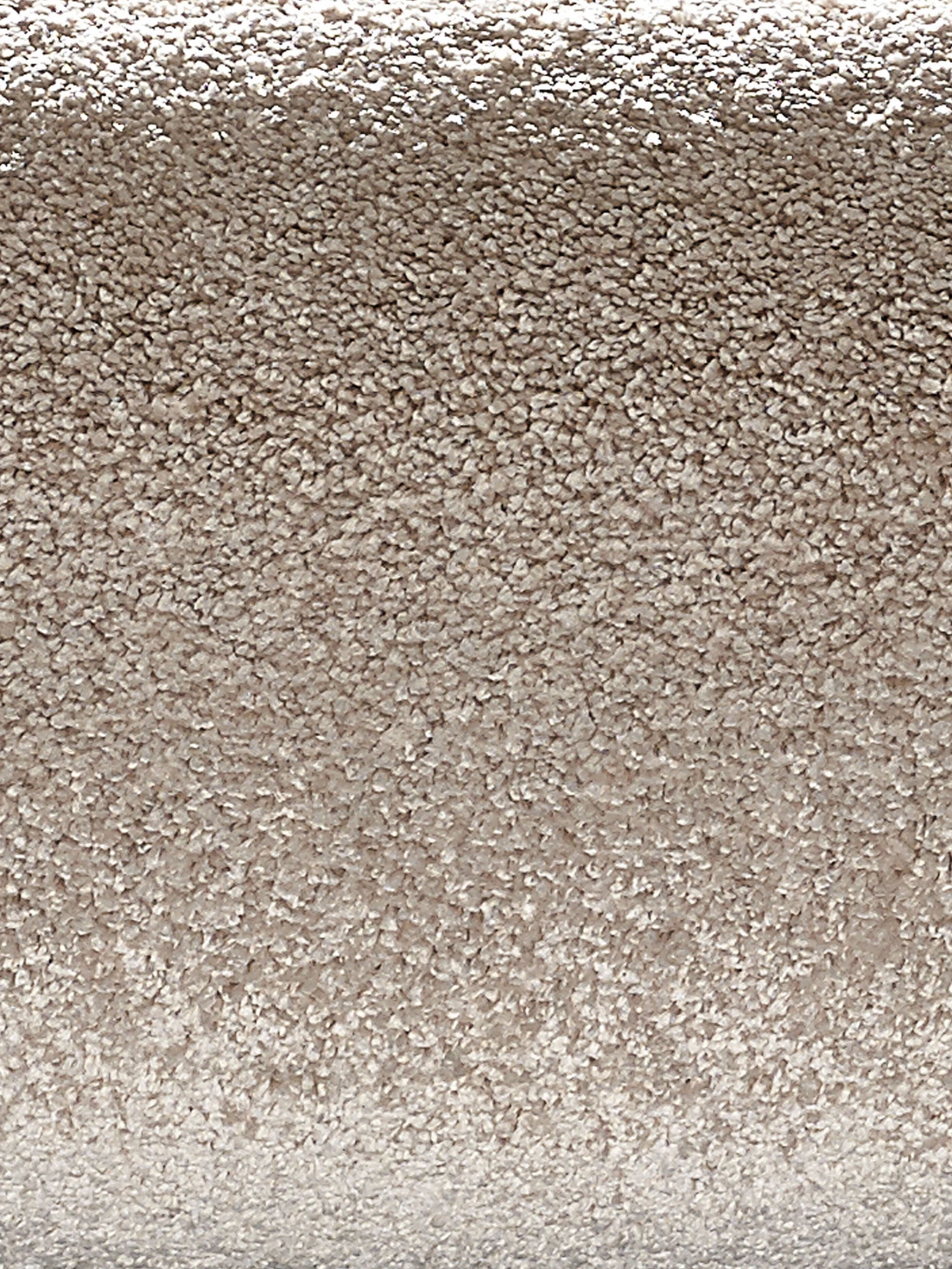 Velours-Teppichboden, Creme 5 Velours-Teppichboden, Creme – Bild 3