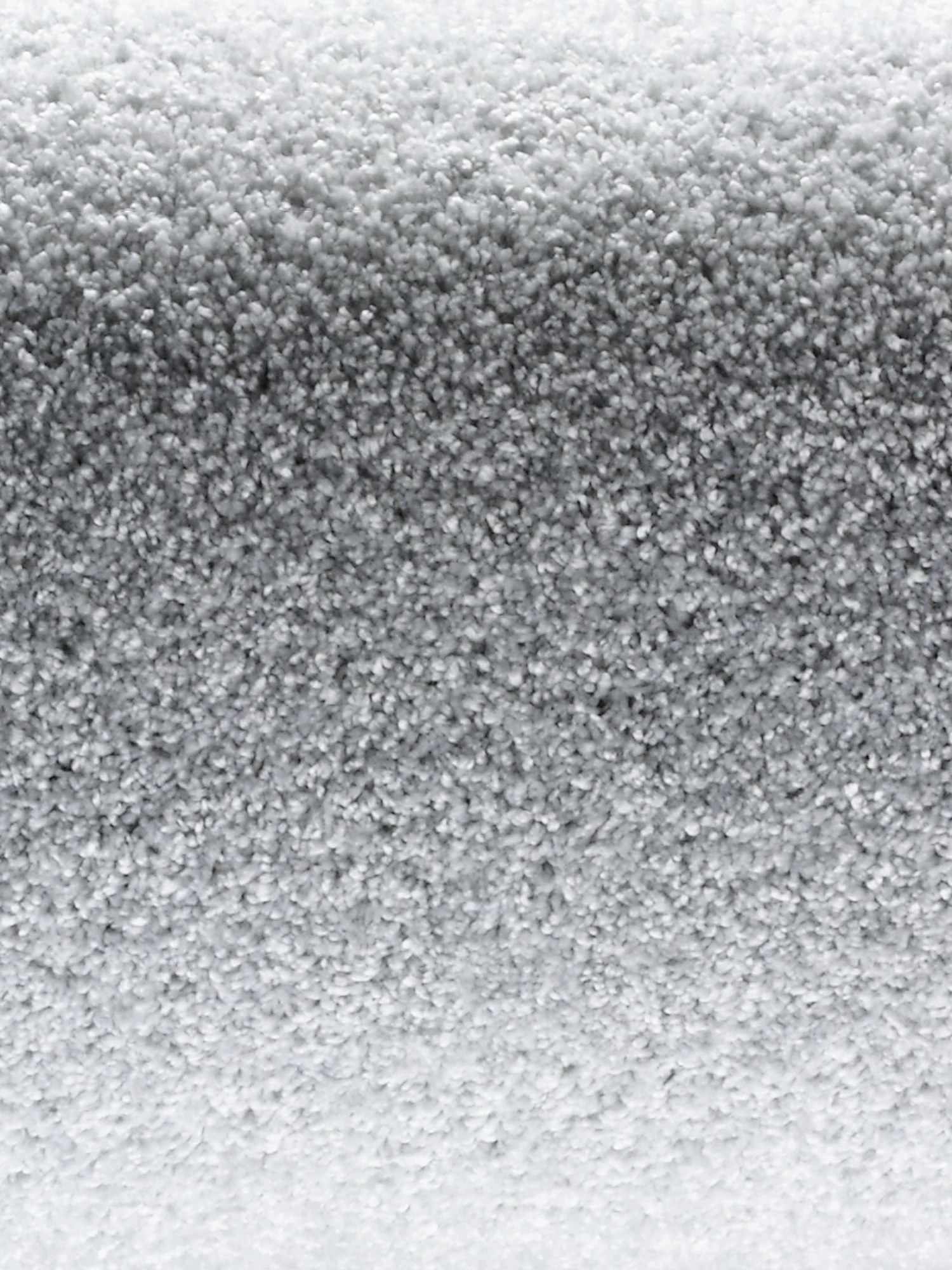 Velours-Teppichboden, Coral 7 Velours-Teppichboden, Coral – Bild 5