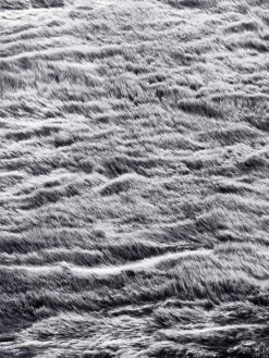 Kunstfell-Teppich, Steingrau -Teppiche Verkäufe Skara Fellteppich grau steingrau lup