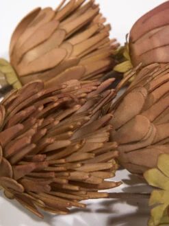 Kunstblume, Orange -Teppiche Verkäufe Softflower Kunstblume Terra Orange 103 lup