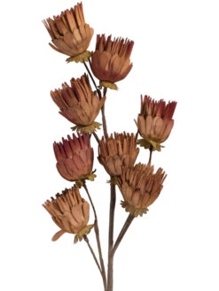 Kunstblume, Orange -Teppiche Verkäufe Softflower Kunstblume Terra Orange 103 pla2