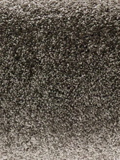 Velours-Teppichboden, Taupe 97 7 Velours-Teppichboden, Taupe 97 -Teppiche Verkäufe Symphonie VeloursTeppichboden Grau Taupe97 hro