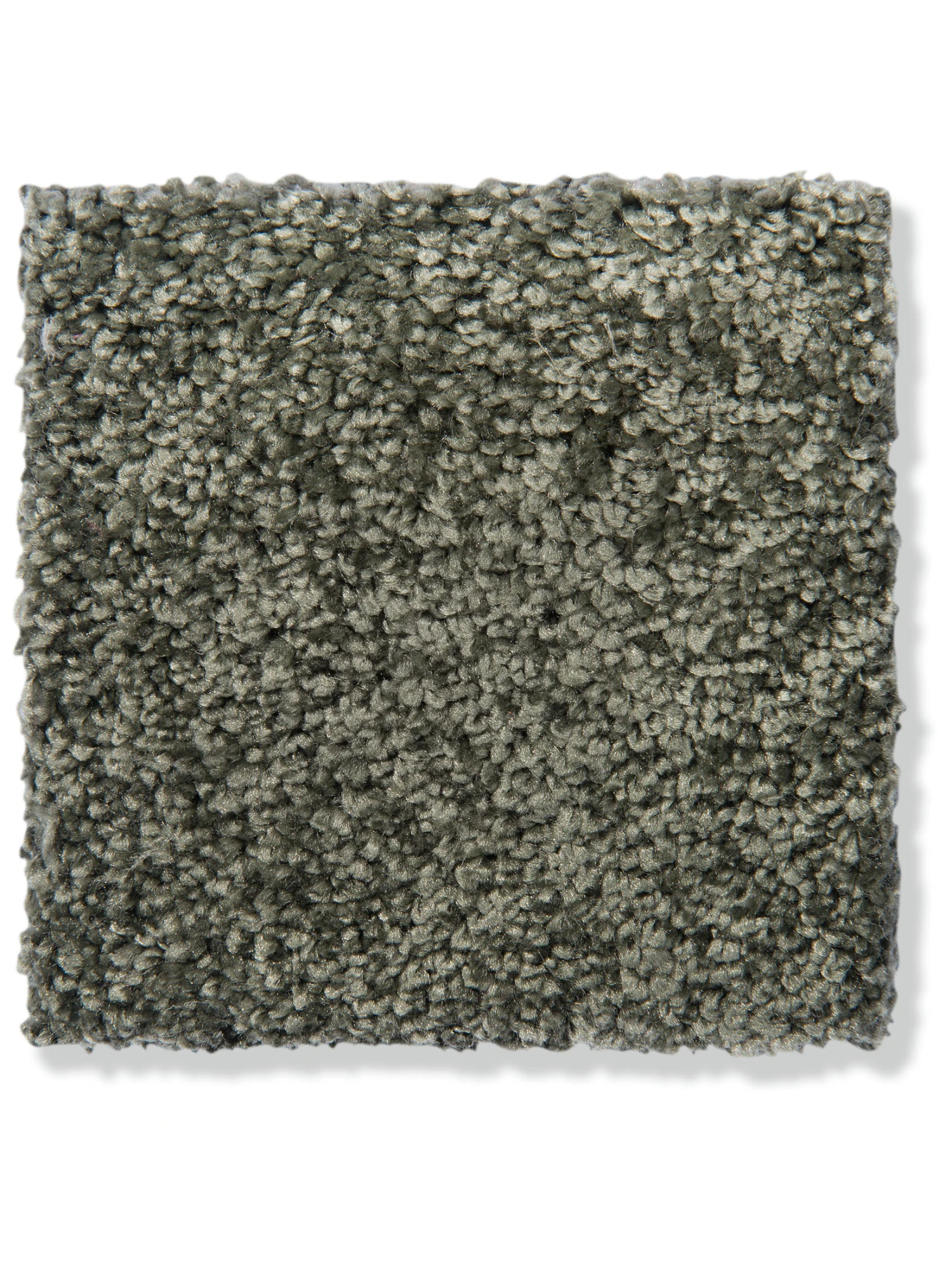 Velours-Teppichboden, Olive 24 3 Velours-Teppichboden, Olive 24