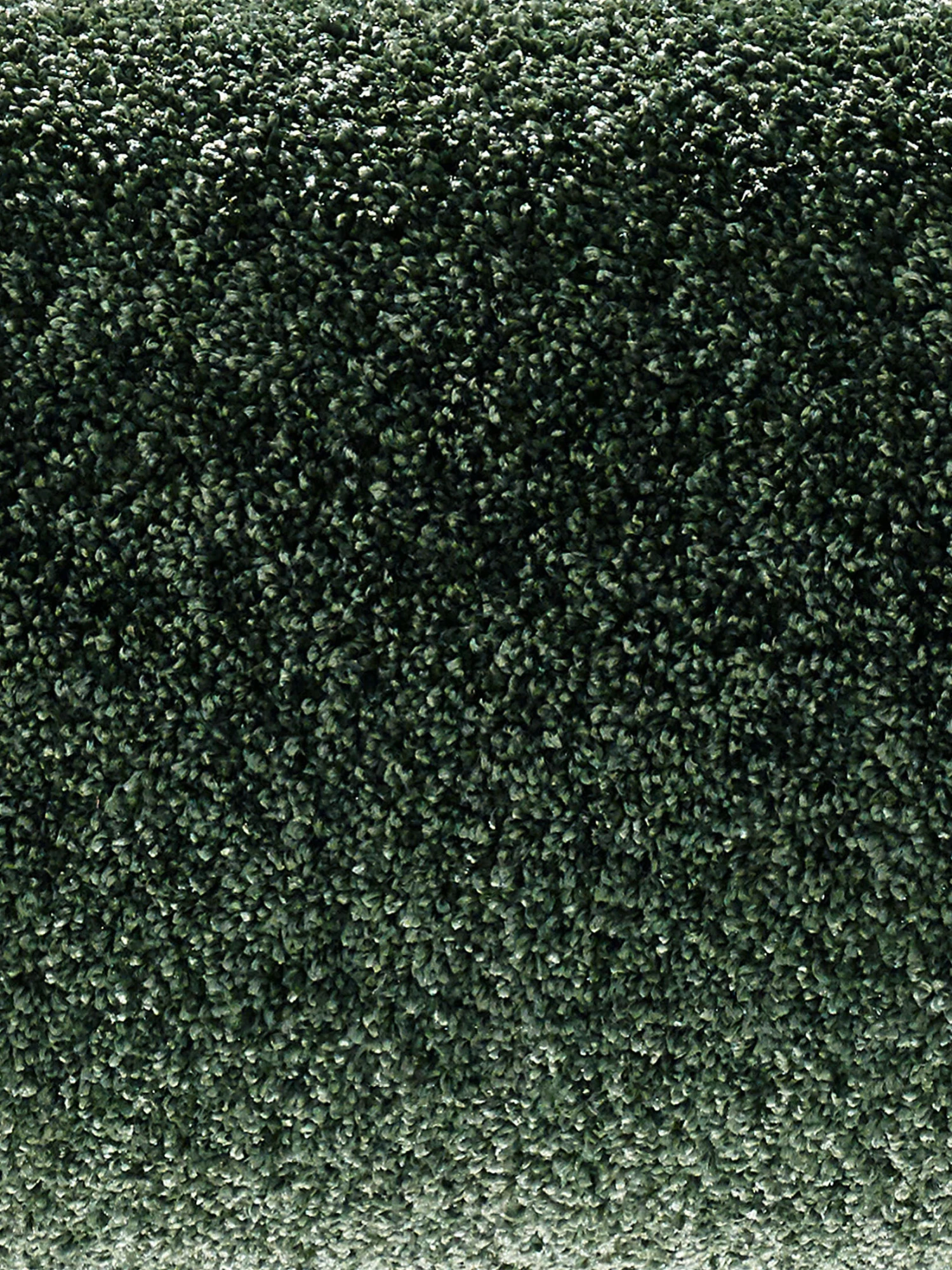 Velours-Teppichboden, Olive 24 4 Velours-Teppichboden, Olive 24 – Bild 2