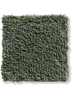 Velours-Teppichboden, Olive 40 5 Velours-Teppichboden, Olive 40 -Teppiche Verkäufe Tortosa VeloursTeppichboden Gruen Olive40 10x10 lup