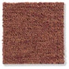 Schlingen-Teppichboden, Terra 38 -Teppiche Verkäufe Triton Schlingenteppichboden terrakotta Terra38 10x10 lup