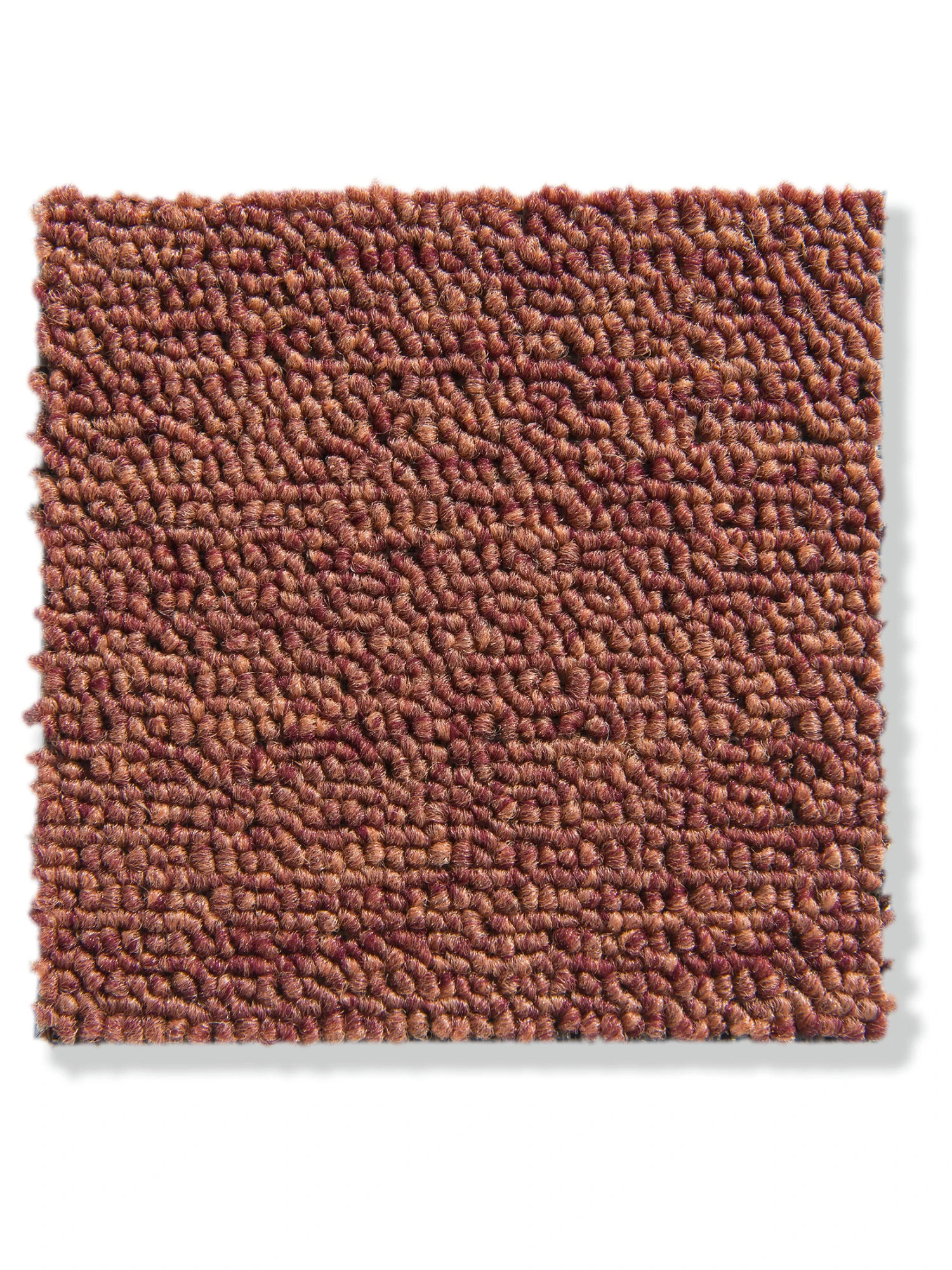 Schlingen-Teppichboden, Terra 38 3 Schlingen-Teppichboden, Terra 38