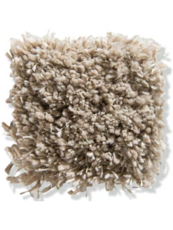 Velours-Teppichboden, Sand 65 -Teppiche Verkäufe VeroBeach VeloursTeppichboden Beige Sand65 10x10 lup