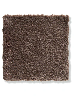 Velours-Teppichboden, Mocca 44 8 Velours-Teppichboden, Mocca 44 -Teppiche Verkäufe Vicenza Veloursteppichboden Dunkelbraun Mocca44 lupB