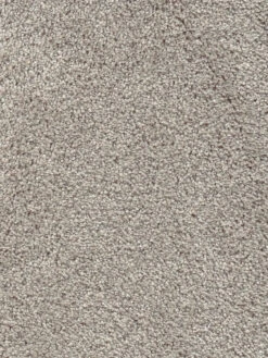 Velours-Teppichboden, Latte Macchiato -Teppiche Verkäufe Vicenza Veloursteppichboden Hellbraun LatteMacchiato49 lup2