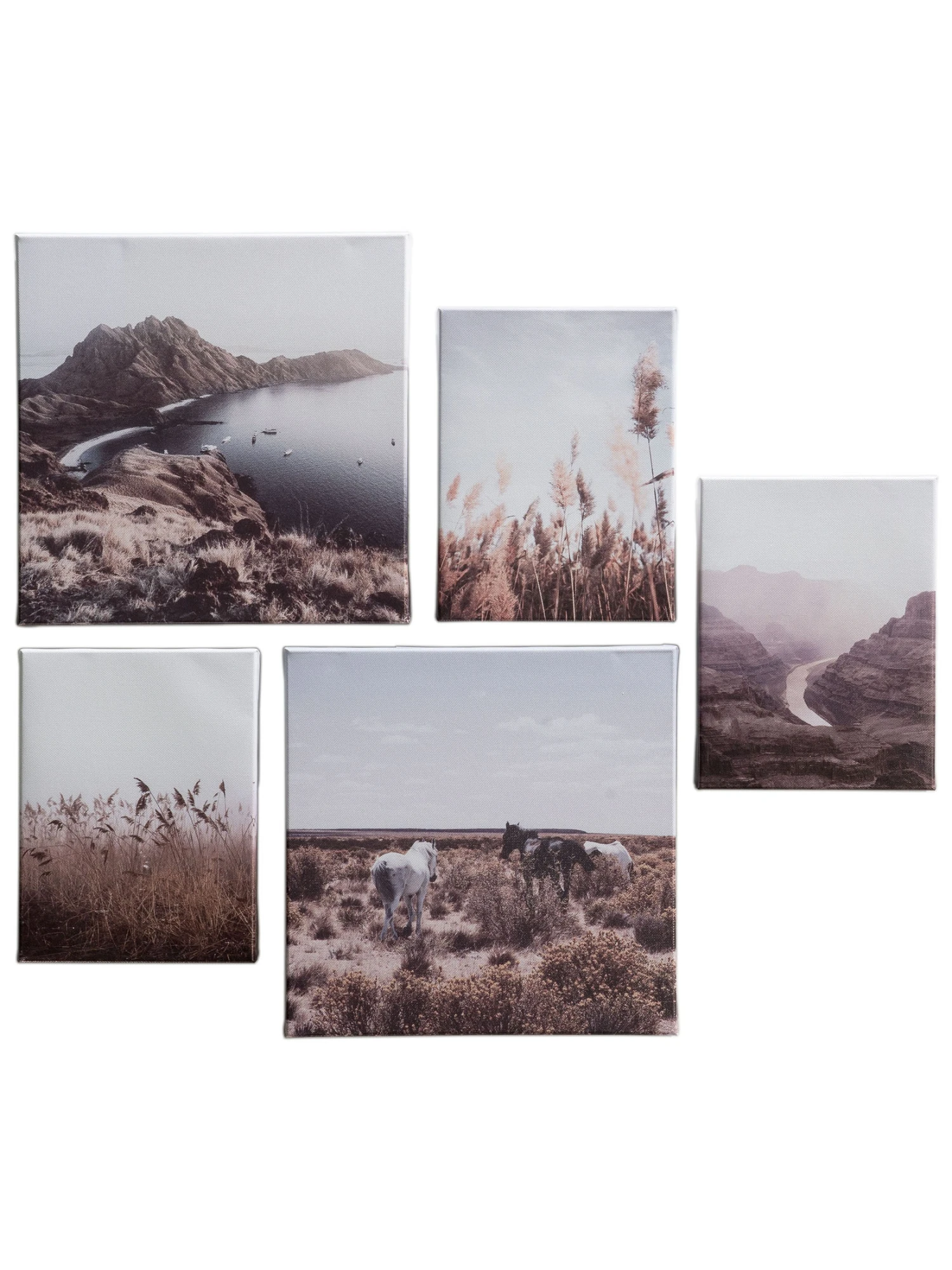 Druck, Hellbraun 4 Druck, Hellbraun – Bild 2